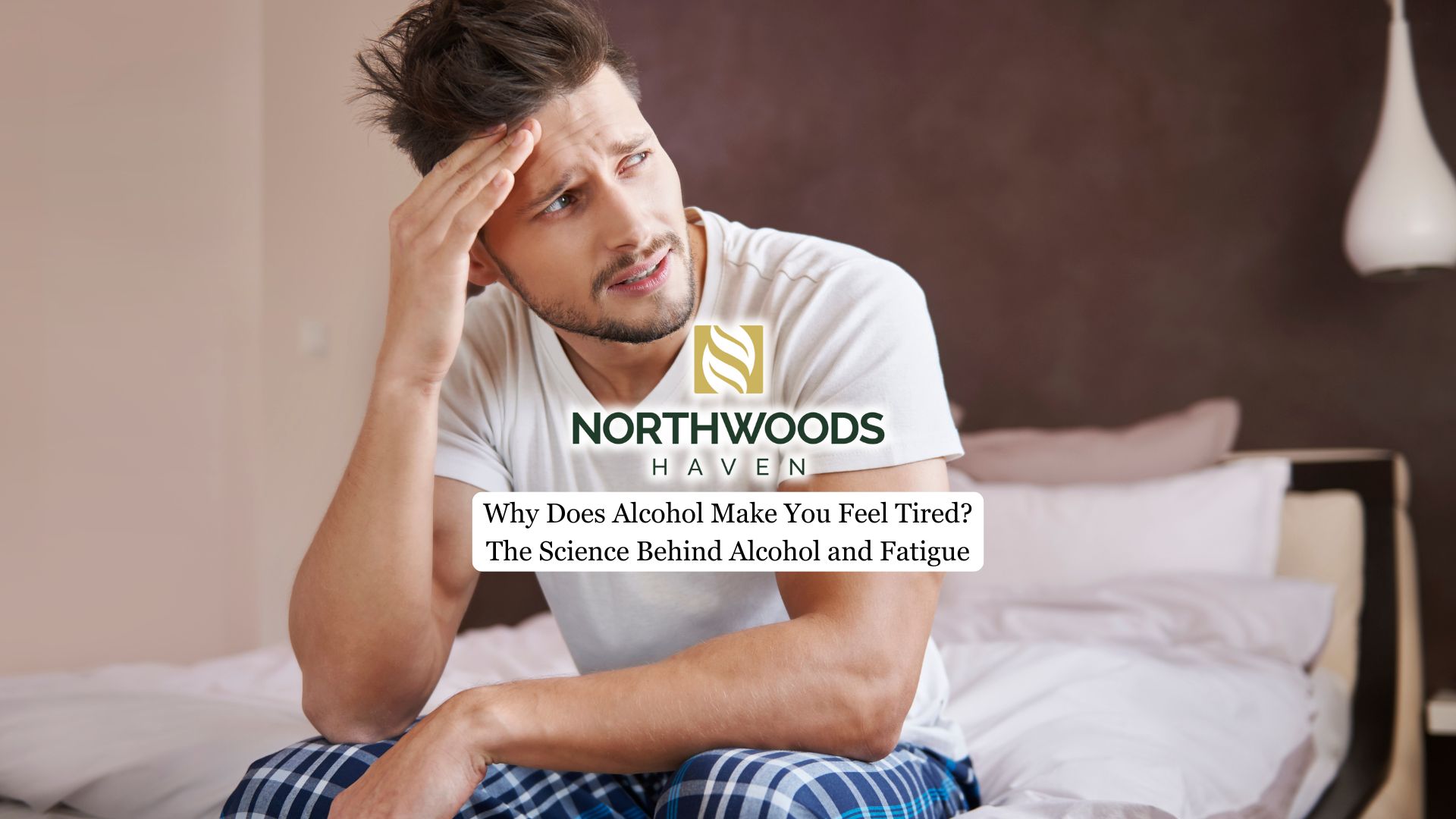 Alcohol Make You Feel Tired
