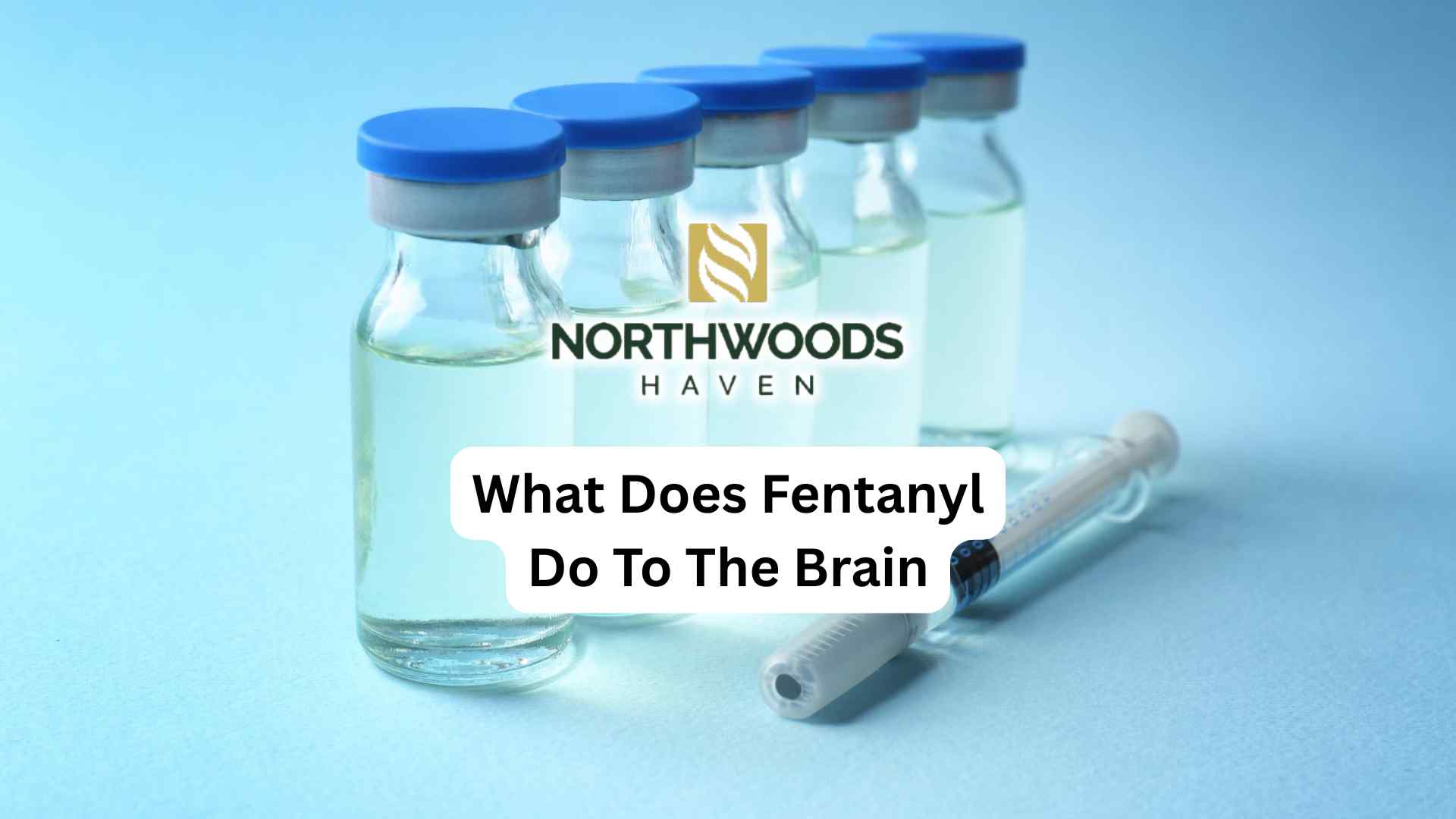 What Does Fentanyl Do To The Brain