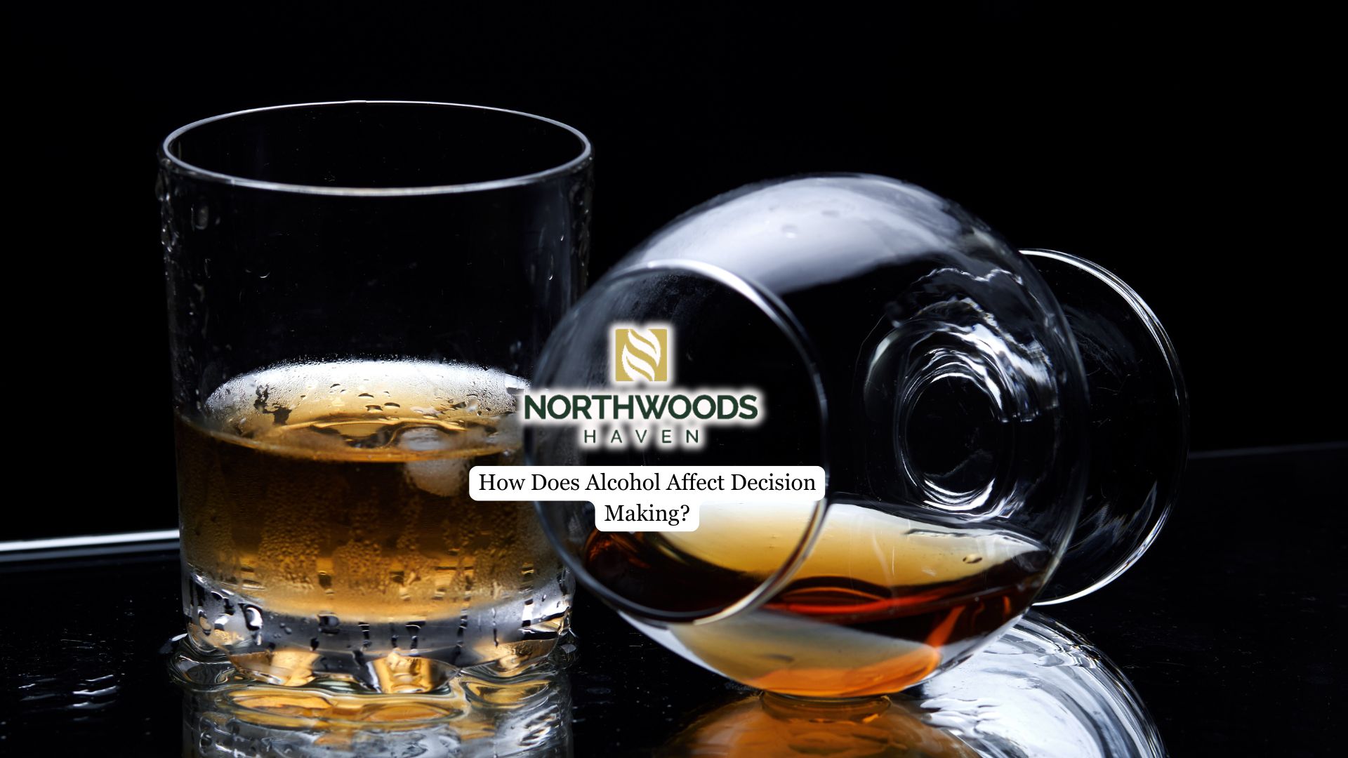 alcohol decision-making study